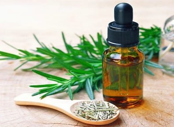 تصویر 2 از خرید اسانس طبیعی رزماری + قیمت فروش استثنایی